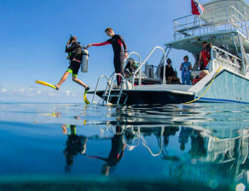 Blue Water Divers and Watersports