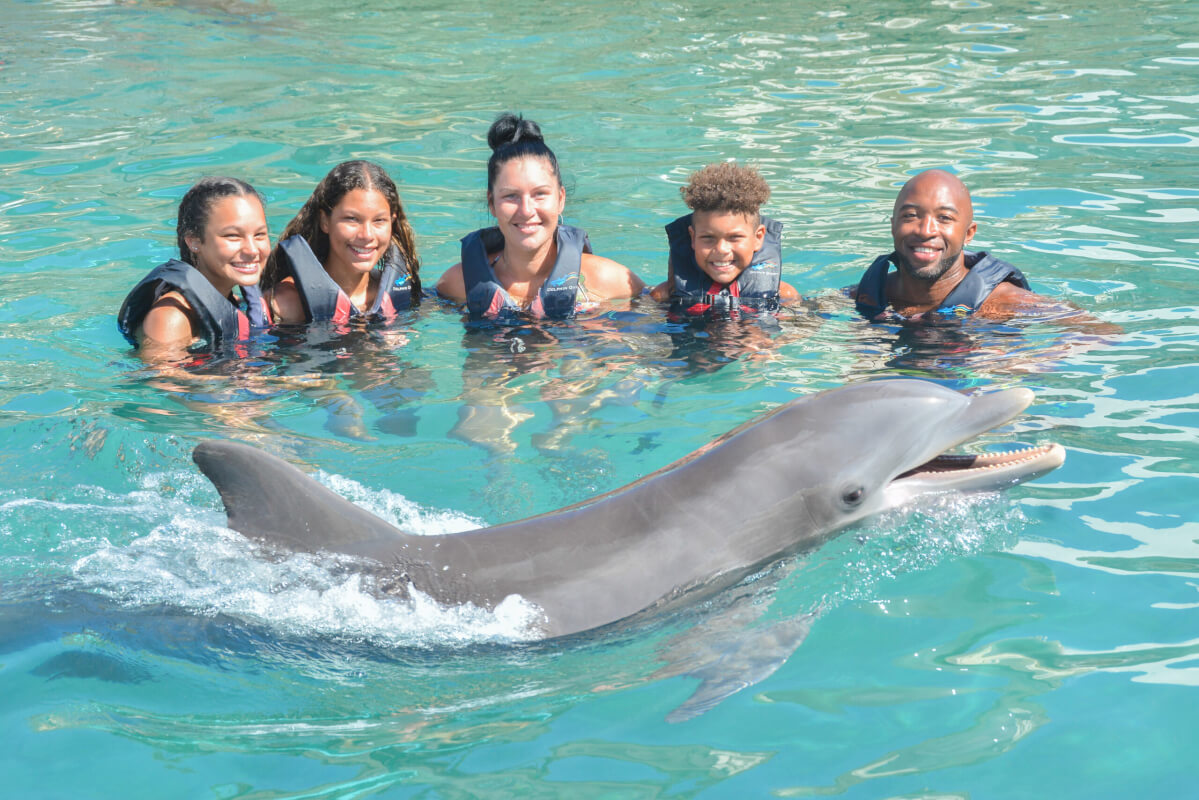 Family Dolphin Exclusive Encounter